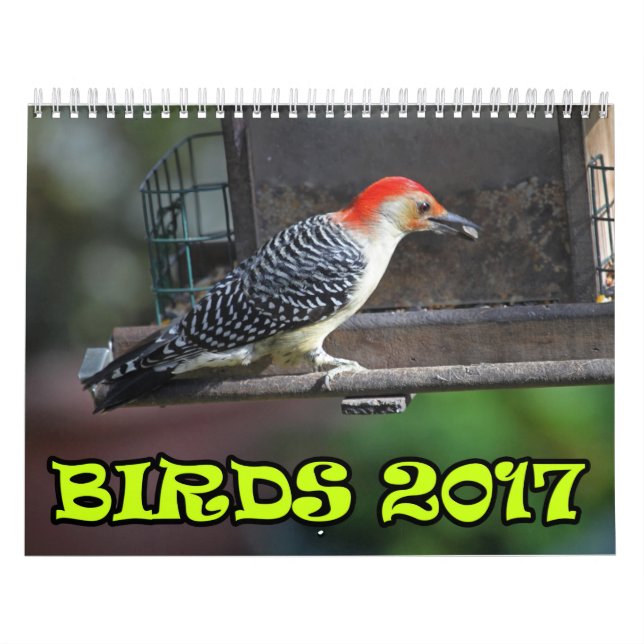 Calendario Pájaros 2017 (Tapa)