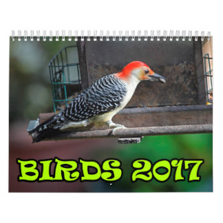 Calendario Pájaros 2017