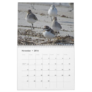 Calendario Pájaros acuáticos