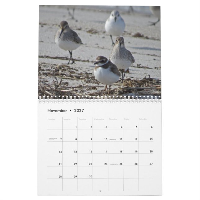 Calendario Pájaros acuáticos (Nov 2027)