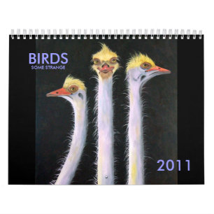 CALENDARIO PÁJAROS, ALGÚN EXTRAÑO, 2011