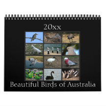 Pájaros australianos coloridos