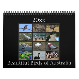 Calendario Pájaros australianos coloridos