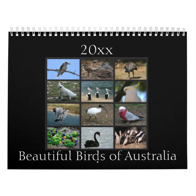 Calendario Pájaros australianos coloridos (Tapa)