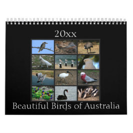 Calendario Pájaros australianos coloridos