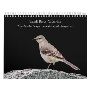 Calendario Pájaros Cantores de Jardín 2027 Aves de Norteamé