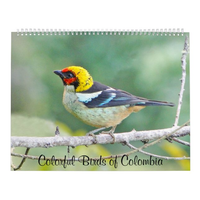 Calendario Pájaros coloridos de Colombia (Tapa)
