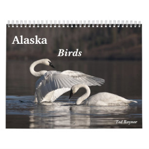 Calendario Pájaros de Alaska