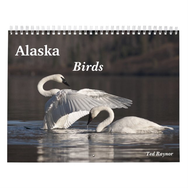 Calendario Pájaros de Alaska (Tapa)