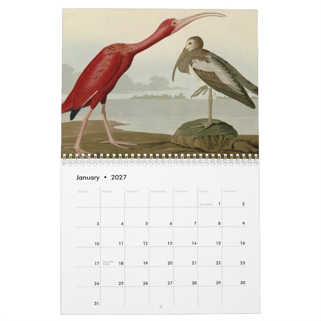Calendario Pájaros de América (Jan 2027)