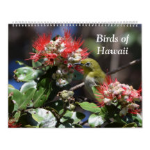 Pájaros de Hawaii