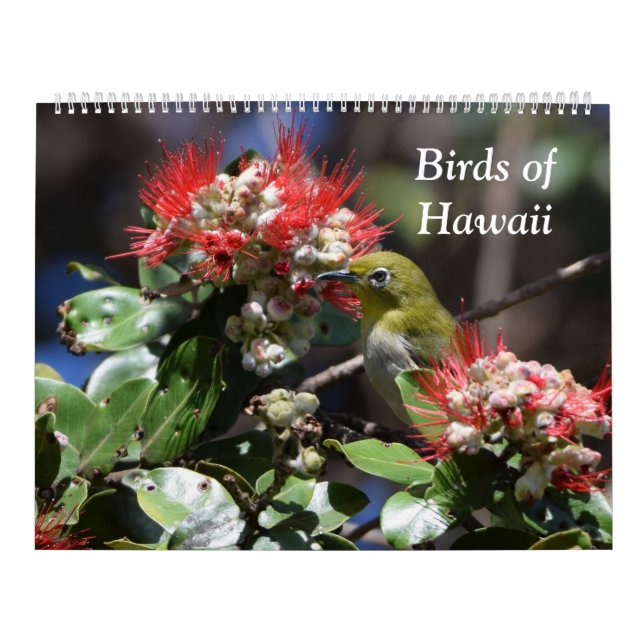 Calendario Pájaros de Hawaii (Tapa)