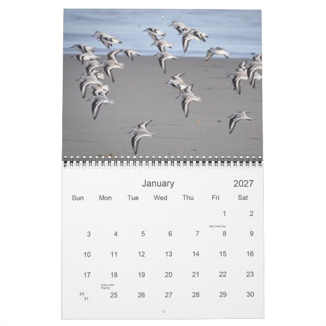 Calendario Pájaros de Mendocino (Jan 2027)