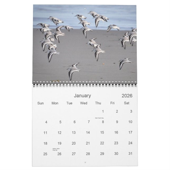 Calendario Pájaros de Mendocino (Jan 2026)