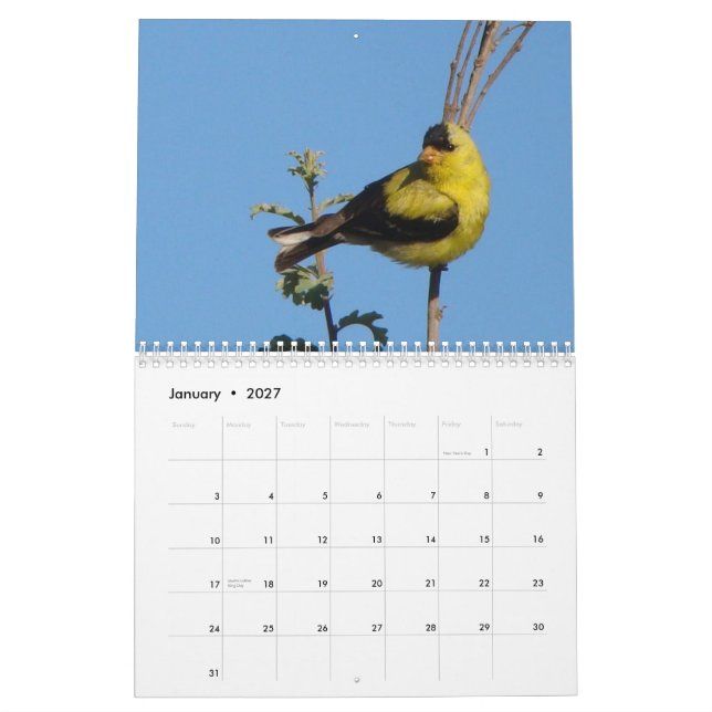 Calendario Pájaros de Norteamérica 2011 (Jan 2027)