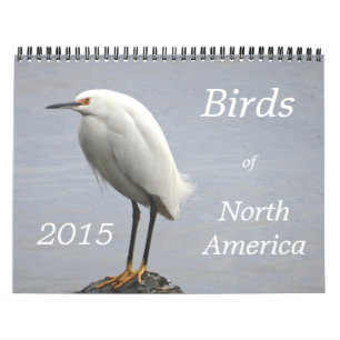 Calendario Pájaros de Norteamérica - 2015