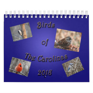 Calendario Pájaros del Carolinas