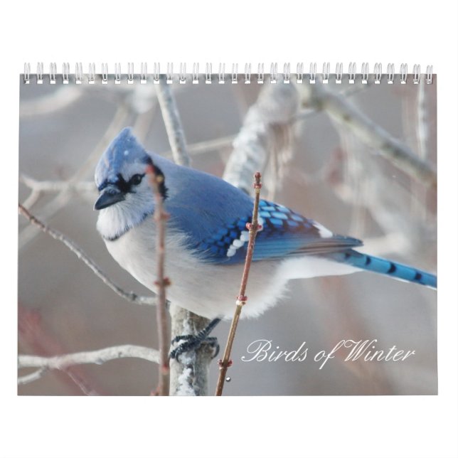 Calendario Pájaros del invierno (Tapa)