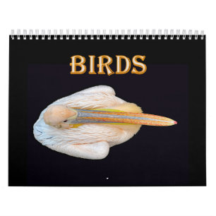 Calendario pájaros del mundo