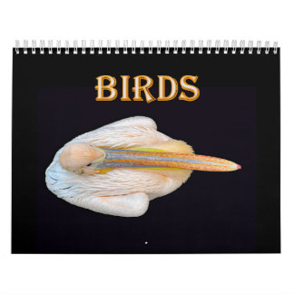 Calendario pájaros del mundo