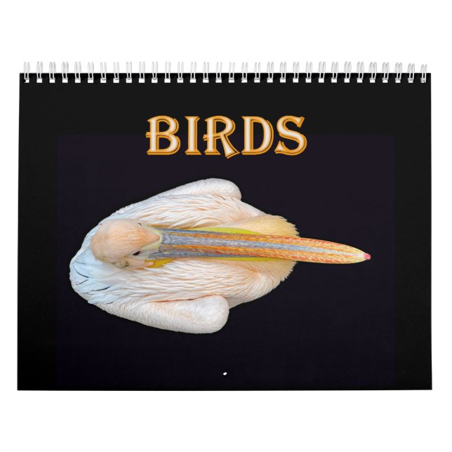 Calendario pájaros del mundo (Tapa)