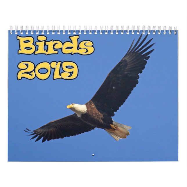 Calendario Pájaros del noreste (Tapa)