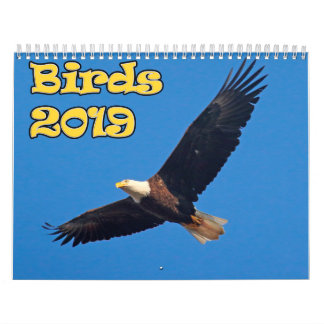 Calendario Pájaros del noreste