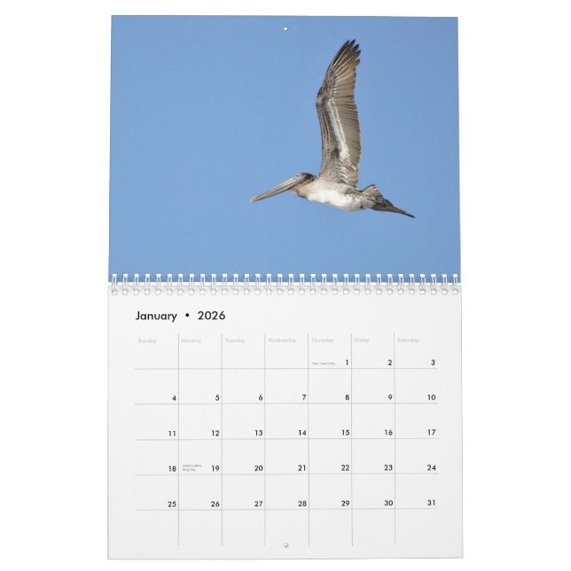 Calendario Pájaros del noroeste pacíficos (Jan 2026)