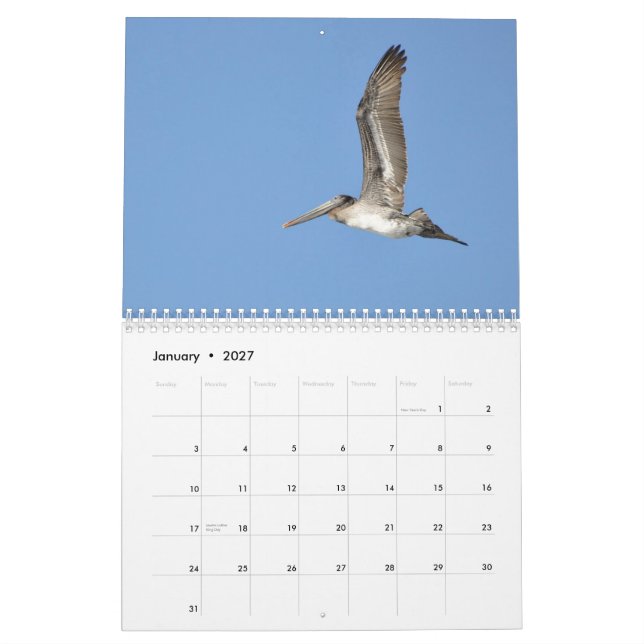 Calendario Pájaros del noroeste pacíficos (Jan 2027)