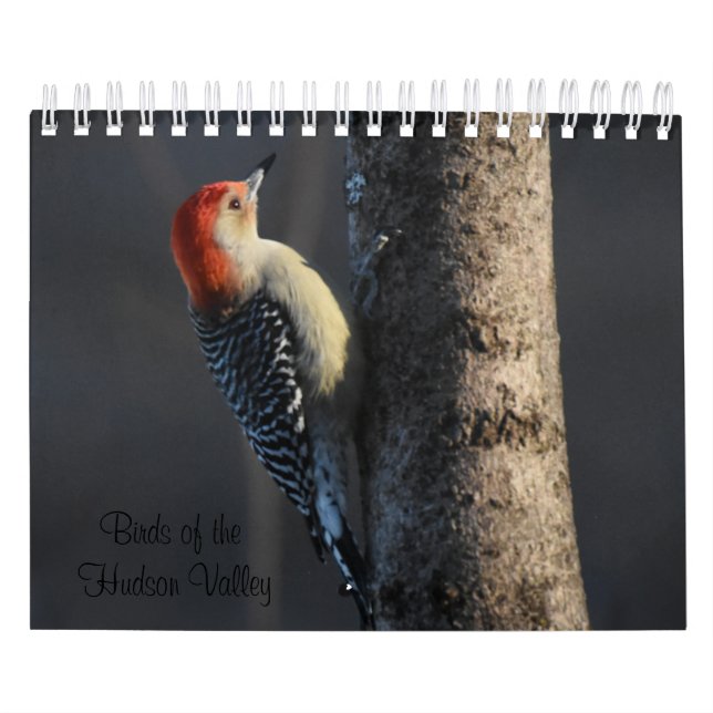 Calendario Pájaros del Valle de Hudson (Tapa)