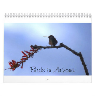 Calendario Pájaros en Arizona