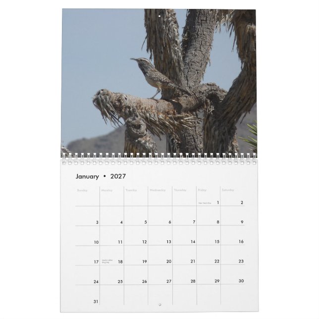 Calendario Pájaros en Arizona (Jan 2027)