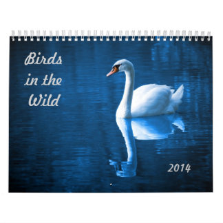 Calendario Pájaros en el salvaje