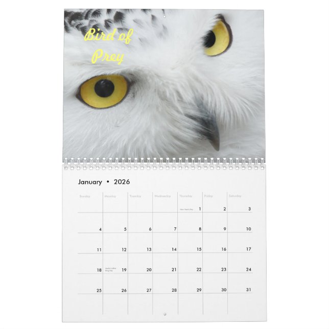 Calendario Pájaros en el salvaje (Jan 2026)