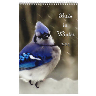 Calendario Pájaros en invierno