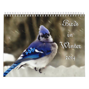 Calendario Pájaros en invierno