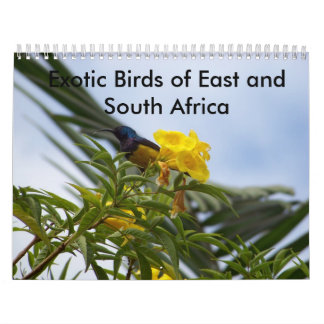Calendario Pájaros exóticos del este y de Suráfrica