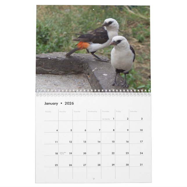 Calendario Pájaros exóticos del este y de Suráfrica (Jan 2026)