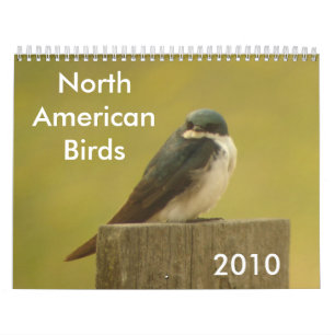 Calendario Pájaros norteamericanos 2010