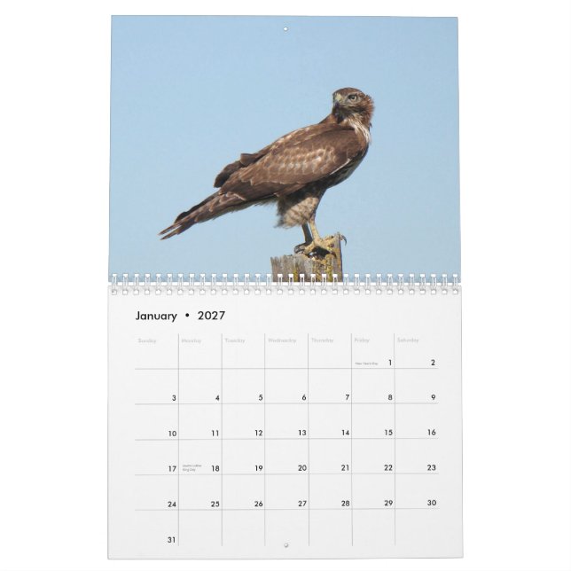 Calendario Pájaros norteamericanos 2010 (Jan 2027)