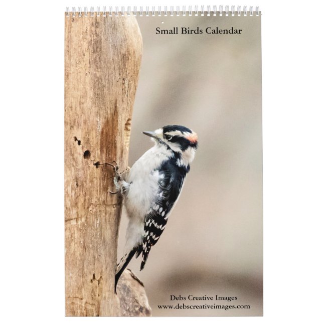 Calendario Pájaros Pequeños 2026 (Tapa)