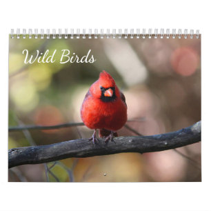 Calendario Pájaros salvajes