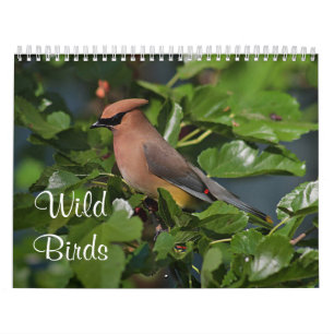 Calendario Pájaros salvajes en Nueva Inglaterra