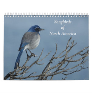 Calendario Pájaros sonoros de Norteamérica
