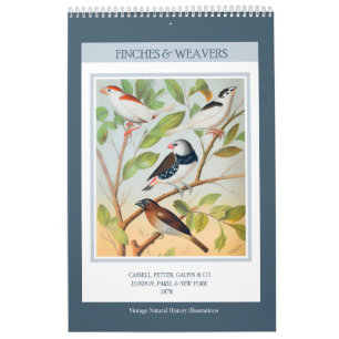 Calendario Pájaros Vintage - Pinzones y Tejedores 2027