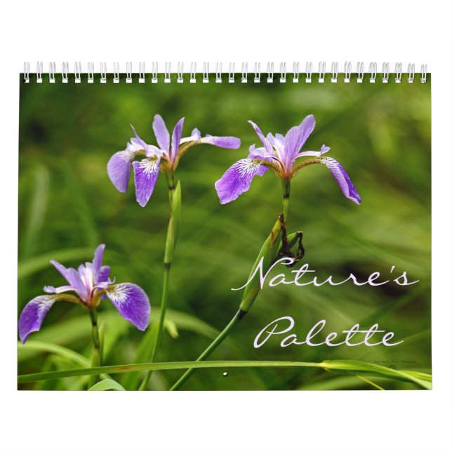 Calendario - Paleta de la Naturaleza (Tapa)