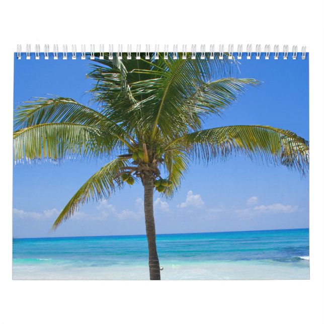 Calendario Palmeras de Bahamas (Tapa)