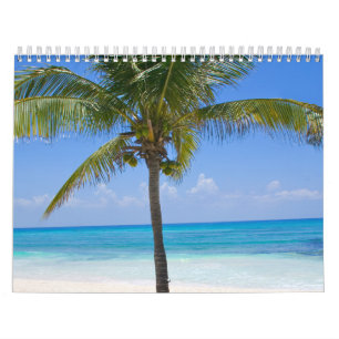 Calendario Palmeras de Bahamas