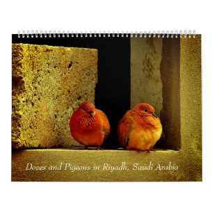 Calendario Palomas y palomas
