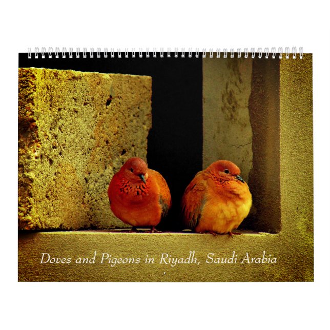 Calendario Palomas y palomas (Tapa)